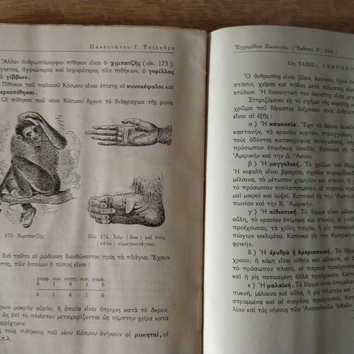 Zoology Handbook used school textbook 1964