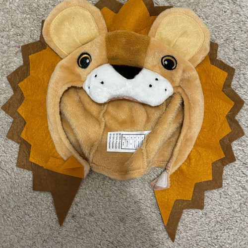 Lion costume 6-12 months like new carnival outfit