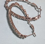 Oval earrings