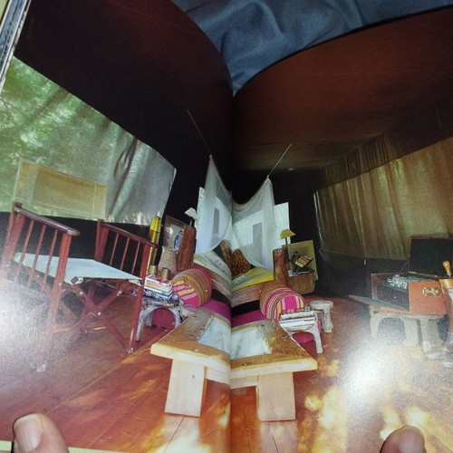 Safari Style book like new, English