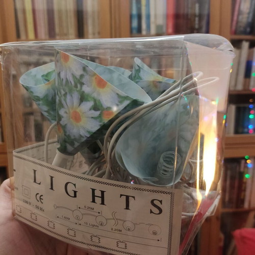 String lights with vintage daisy design like new