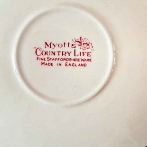Myotts Country Life set of 4 pasta plates like new, Staffordshire porcelain