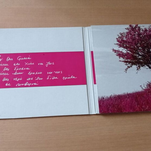Haris Alexiou CD case used, I agapi tha se vrei opou kai na sai