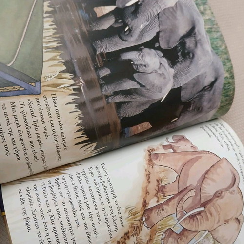 Educational book The Adventures of Riley Safari in South Africa new