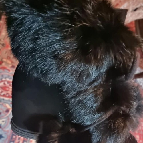 R.Polański boots new, platform suede fur black