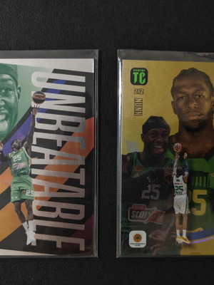 Kendrick Nunn Unbeatable and Master Cards Euroleague 2024/25, like new