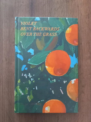 Violet Bent Backwards Over the Grass hardcover book new, Lana Del Rey