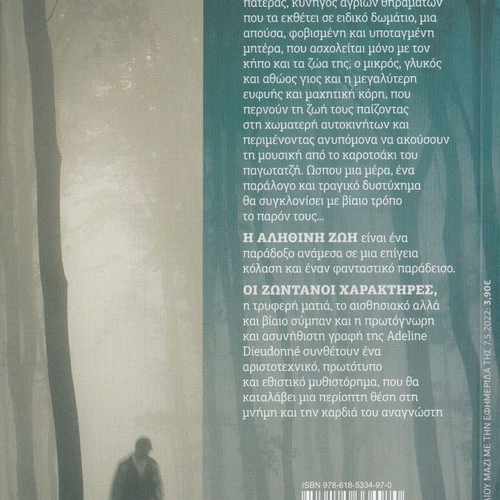 True Life novel like new by Dieudonne Adeline