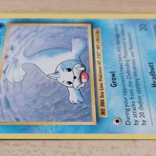 Pokémon Seel Evolutions 2016 card new