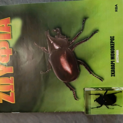 Alithina Zofyia issue 32 used