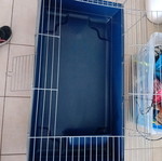 Cage for small animals new