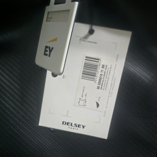 Delsey Montgallet-Argent/Silver 28L backpack new