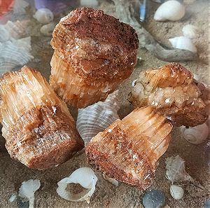 Ακατέργαστα κομμάτια honey calcite