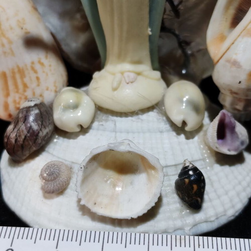 Handmade Virgin Mary statue with natural seashells
