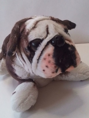 Λούτρινο σκυλάκι Bulldog Paws μεταχειρισμένο, μήκος 24 εκ.