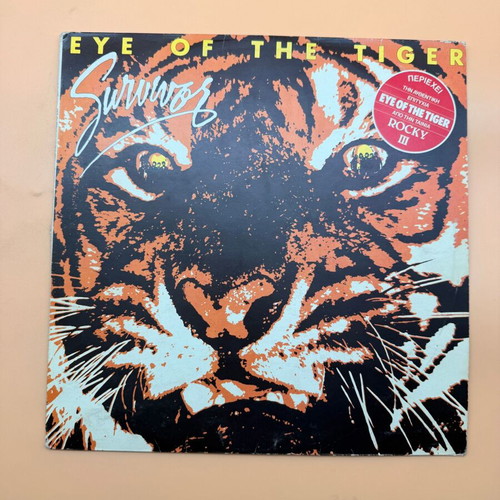 Survivor Eye Of The Tiger vinyl used