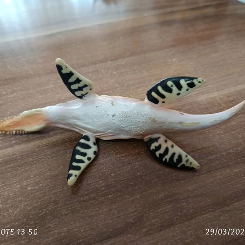 Liopleurodon sea dinosaur used, length 17cm