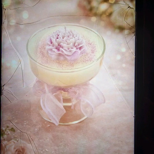 Handmade soy plant candles new with wellness scents