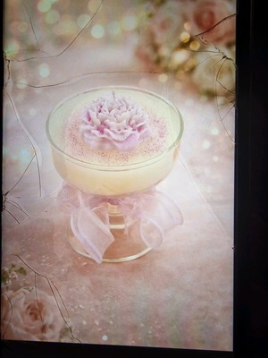 Handmade soy plant candles new with wellness scents
