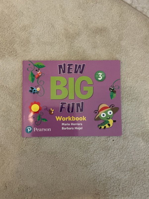 New Big Fun Workbook new with sealed CD