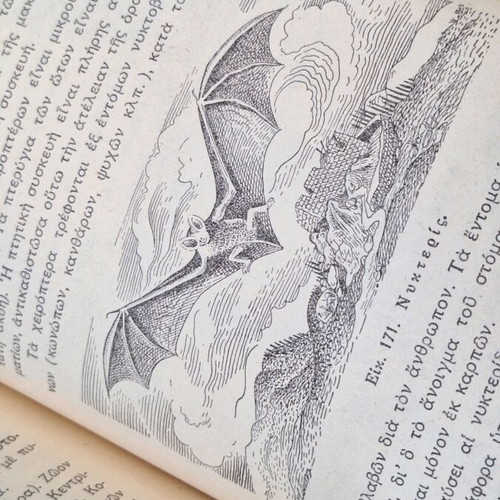 Zoology used, first edition 1950 by Panagiotis G. Tsilithras