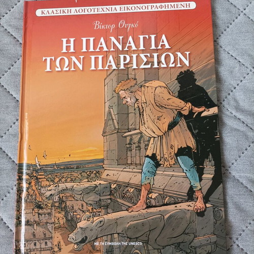 The Hunchback of Notre Dame illustrated book used