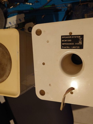 Philips floor speakers used without plug