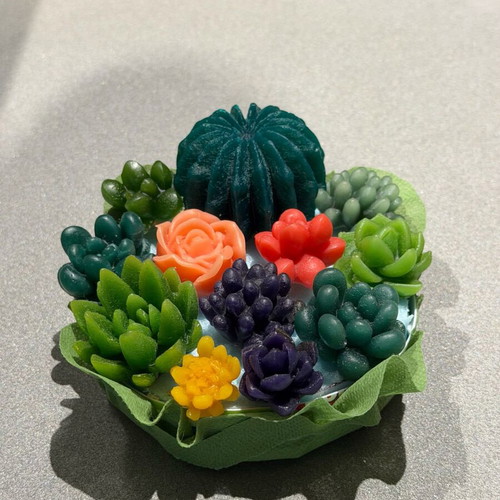 Handmade wax cactus like new