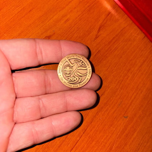 Collectible Pin 100 Years of Scouting like new