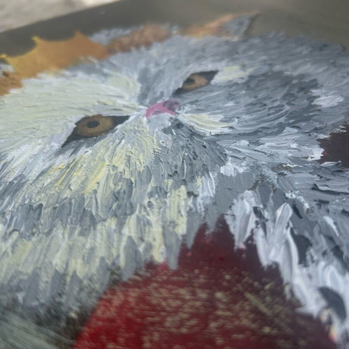 Royal cat on 40x40 canvas like new
