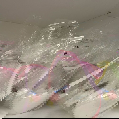 Easter Bunny Bowl for Painting made to order