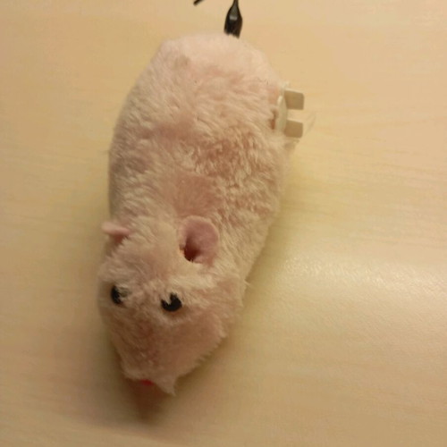 Wind-up mouse unused