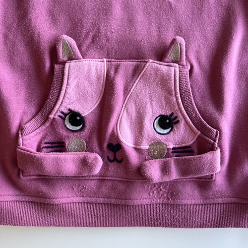 Dpam pink hoodie sweatshirt for girl 9-10 years used