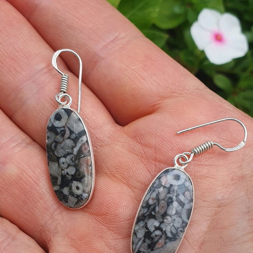 Fossil Crinoid Earrings silver plated 925, new