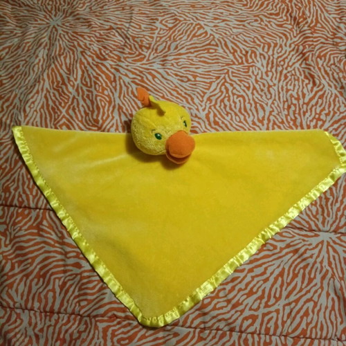 Sleep blanket used with plush duck