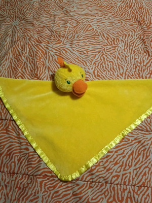 Sleep blanket used with plush duck
