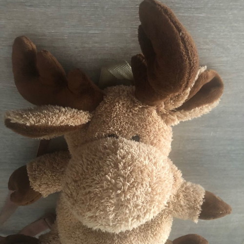 Reindeer bag used, backpack in very good condition