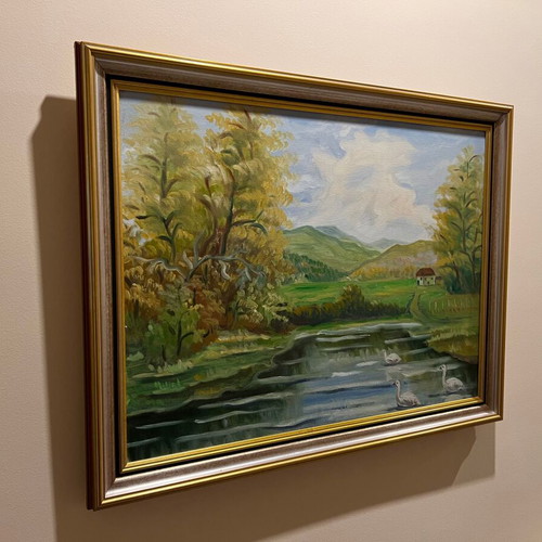 Artistic Landscape Lake and Nature like new