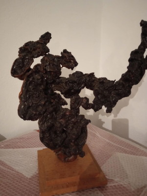 Rare unique coffee tree root decorative piece on base new