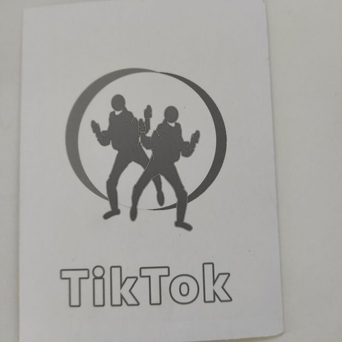 Tik Tok cards Tayler Holder & Baby Ariel like new, pack of 2