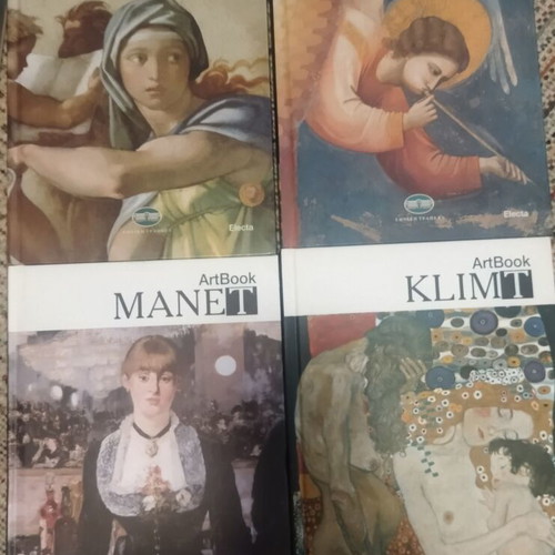 Books of famous painters like new, pack of 26