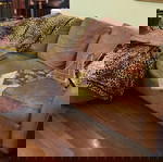  ΚΑΝΑΠΕΣ ΓΩΝΙΑ * NATUZZI *