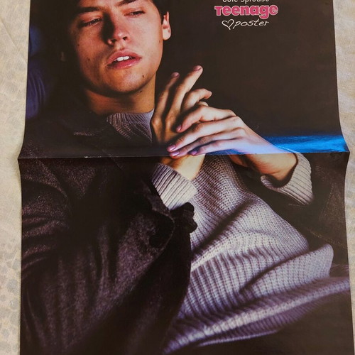 Cole Sprouse & Black Pink poster like new, size 41.5x20.5