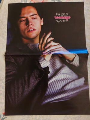 Cole Sprouse & Black Pink poster like new, size 41.5x20.5