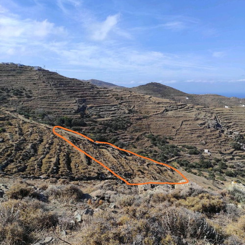 Land 6,500 sqm in Serifos with small-scale permit and sea view