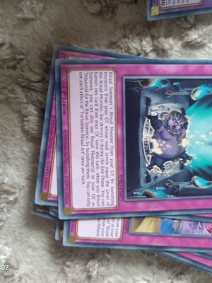 Yu-Gi-Oh Forbidden Ritual Art card like new