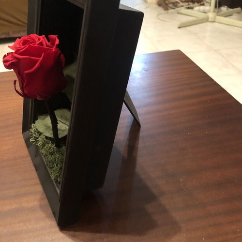 Fiorentino Natura a Casa Forever Rose in Black Frame