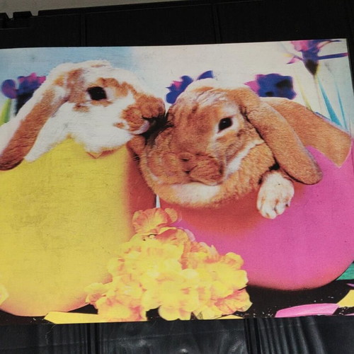 3D Picture With Bunnies In Eggs, Like New, 39x29 cm