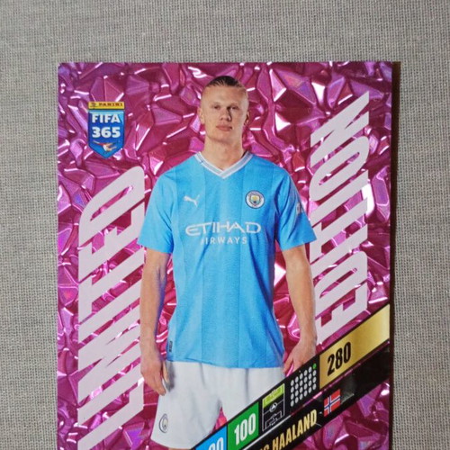Panini Haaland 2024 sticker like new