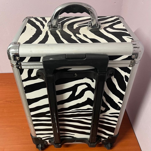 Storage case with extension used